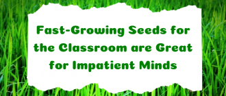 Fast-Growing Seeds for Classroom Projects