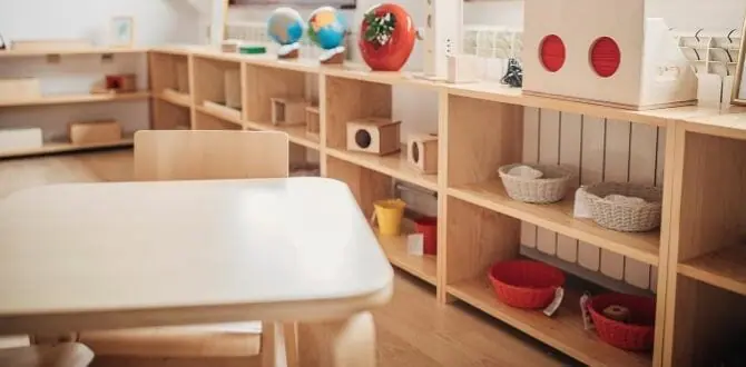 cabinet and furniture of preschool room