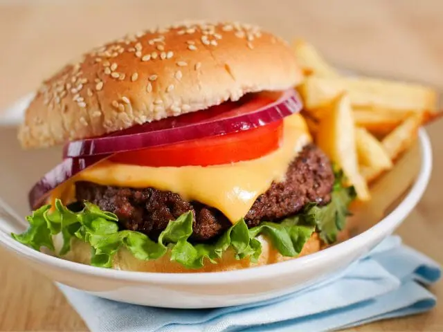 cheeseburger on a plate