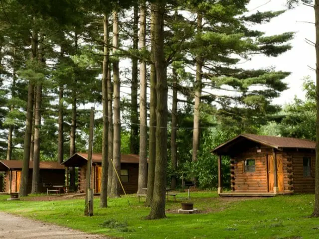 cabins with trees